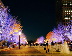 Harry Potter's night