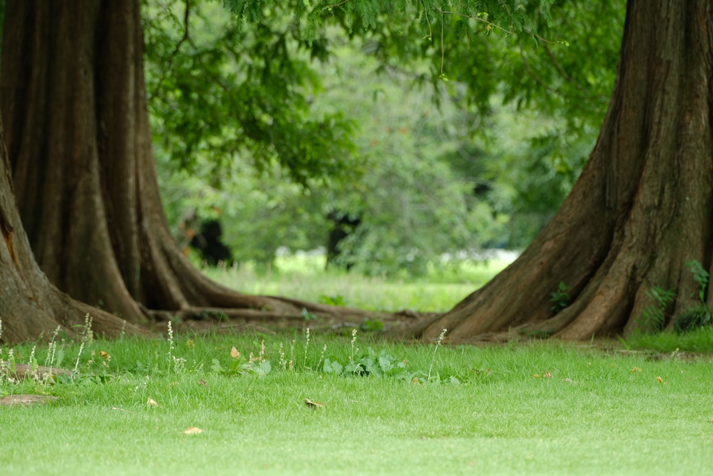 ちょっと絵本の世界みたい