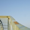 橋