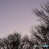 冬の夕景
