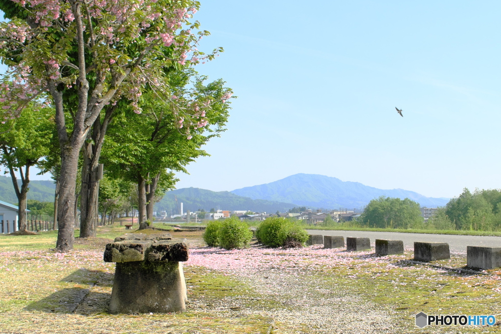 散歩道