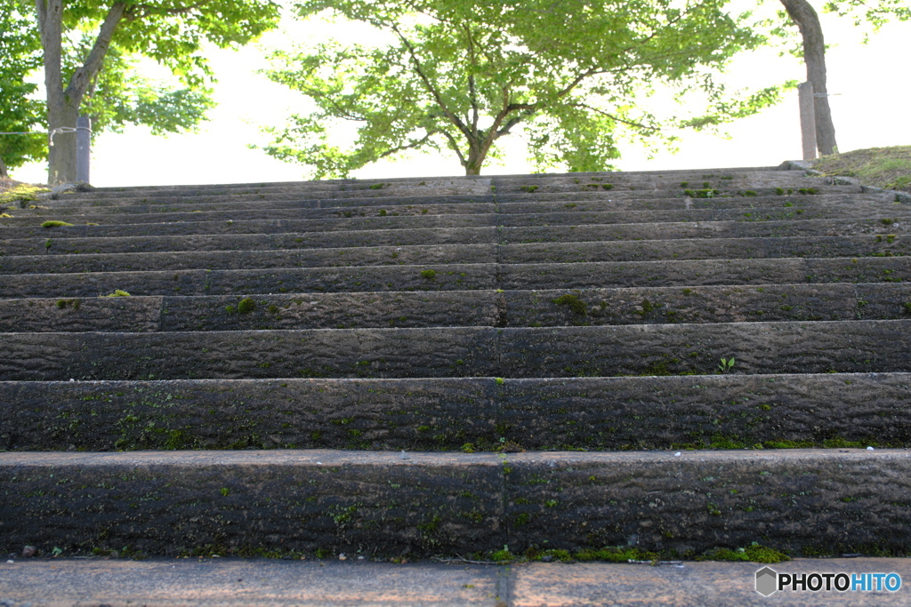 立夏の朝
