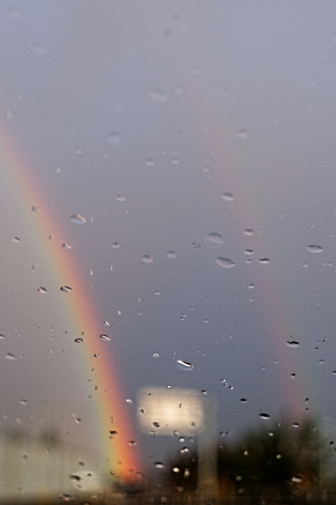 雨の向こうに