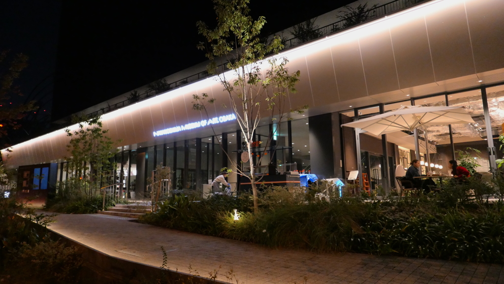 Nakanoshima Night Walkng ＜＜大阪中之島美術館、、、横＞