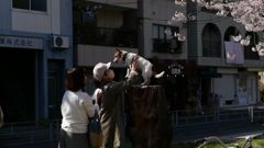お犬様