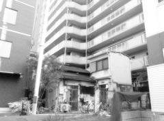残された楽園