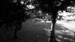 引き算の美学-2