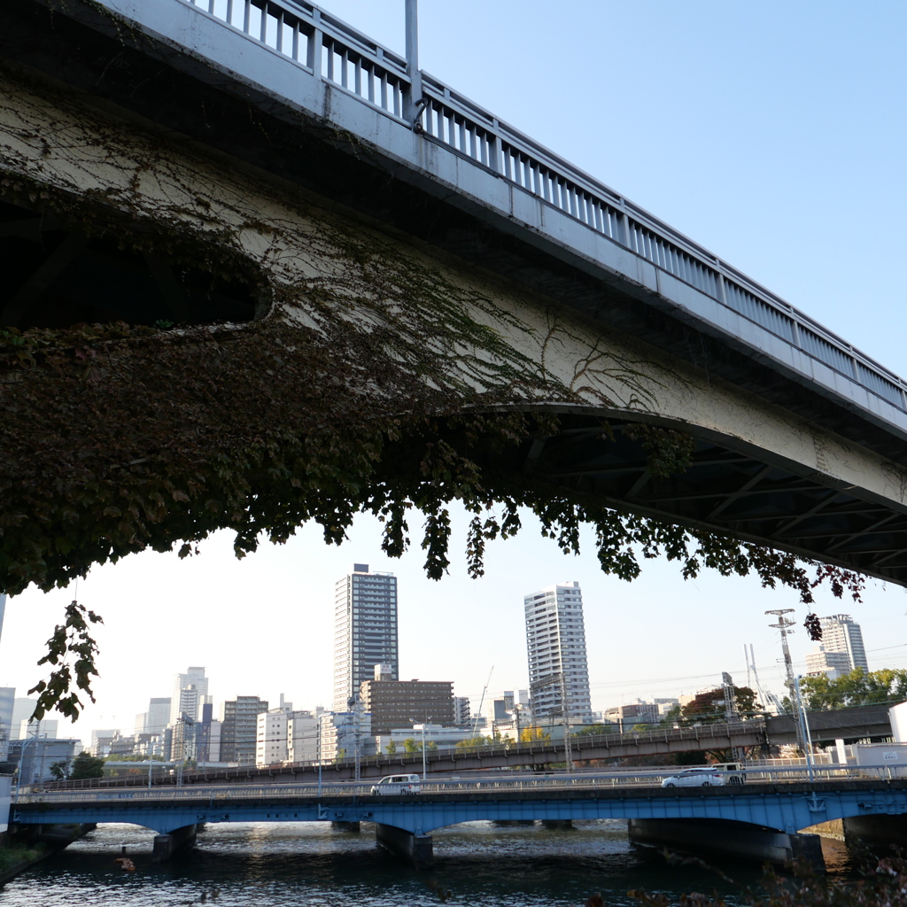 大坂橋たもと。（天満橋周辺）