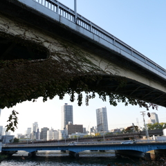 大坂橋たもと。（天満橋周辺）