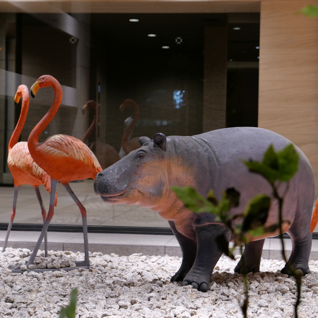 真夜中の動物園-2