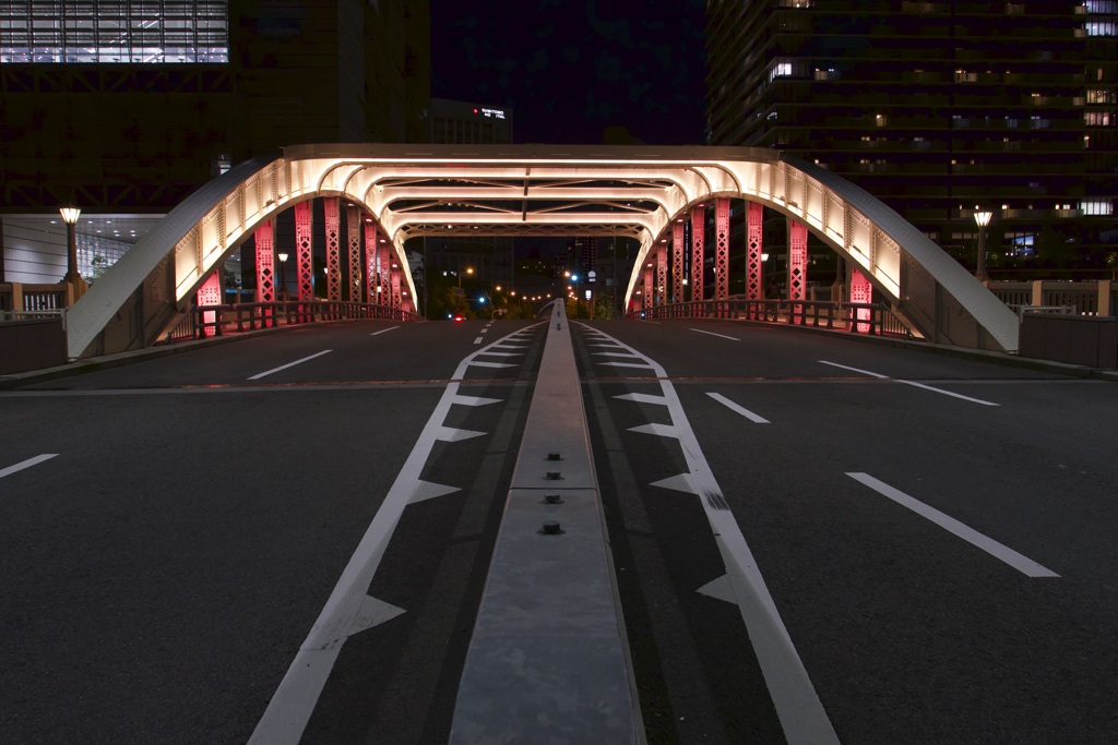 Nakanoshima Night Walkng ＜堂島大橋＞