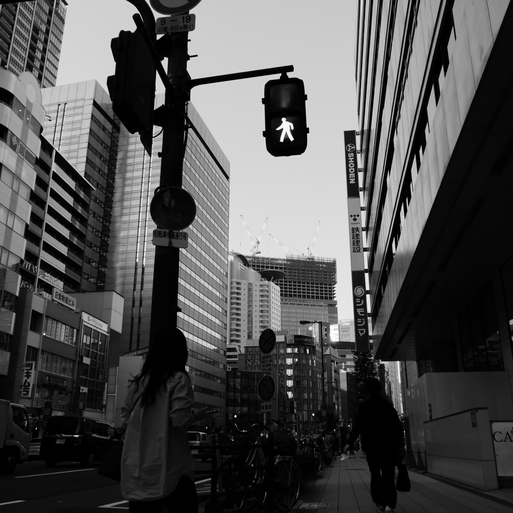 中之島界隈-L1034512