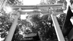 L1024093