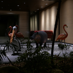 真夜中の動物園-1