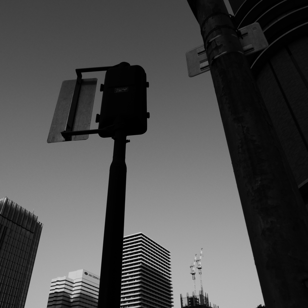 中之島界隈L1034494