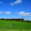 DSC_1850　各駅停車　上り普通列車新潟行き