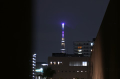 DSC01747