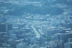 DSC01968