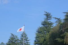 DSC01624