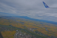 DCS1261