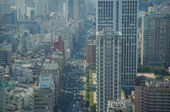 DSC01884