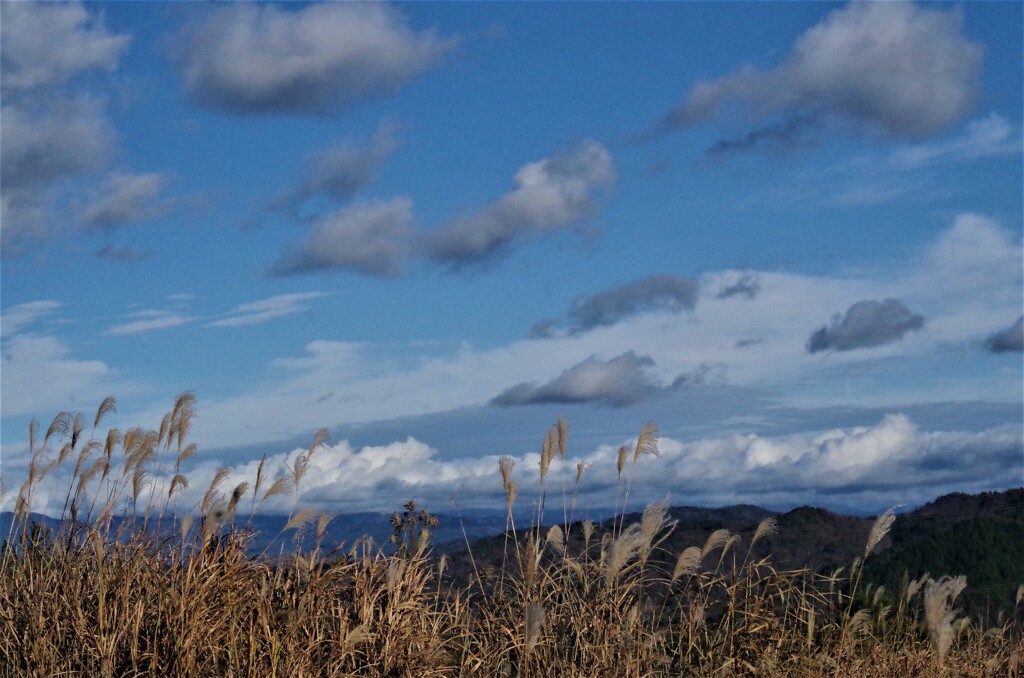 風景