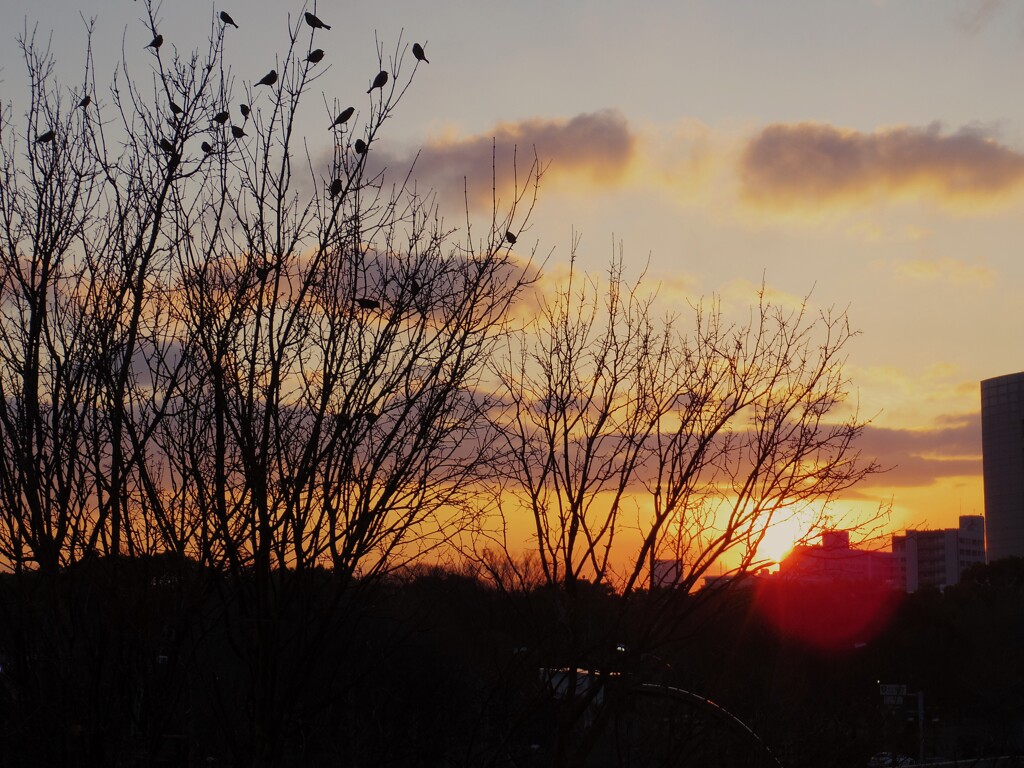 都会に沈む夕日