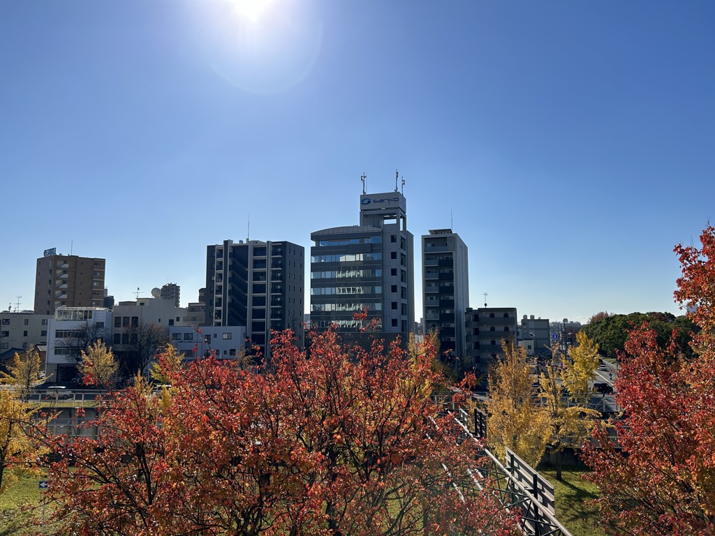 都会の紅葉
