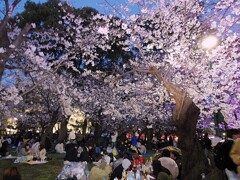 宴会