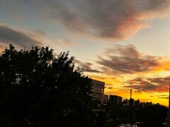 夕焼け