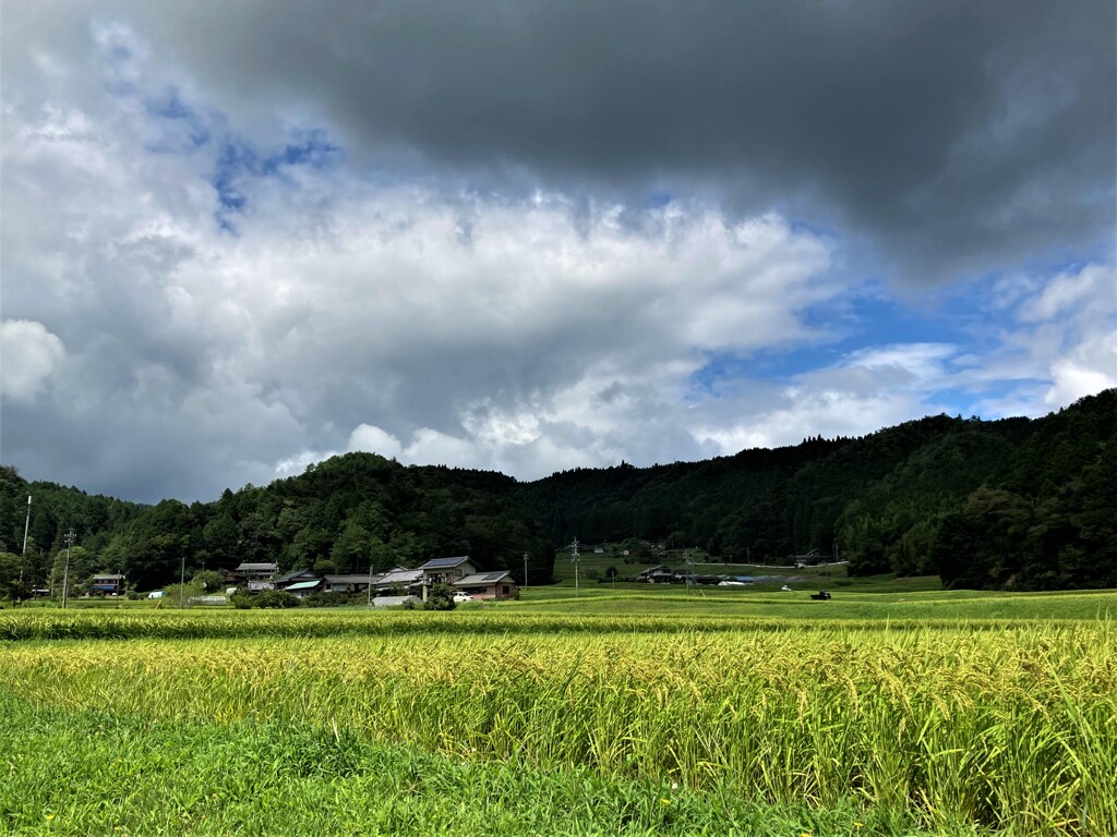 田園風景