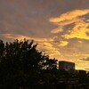 8月終わりの日