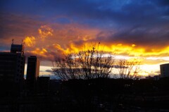 お正月の夕空