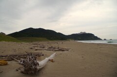 流木