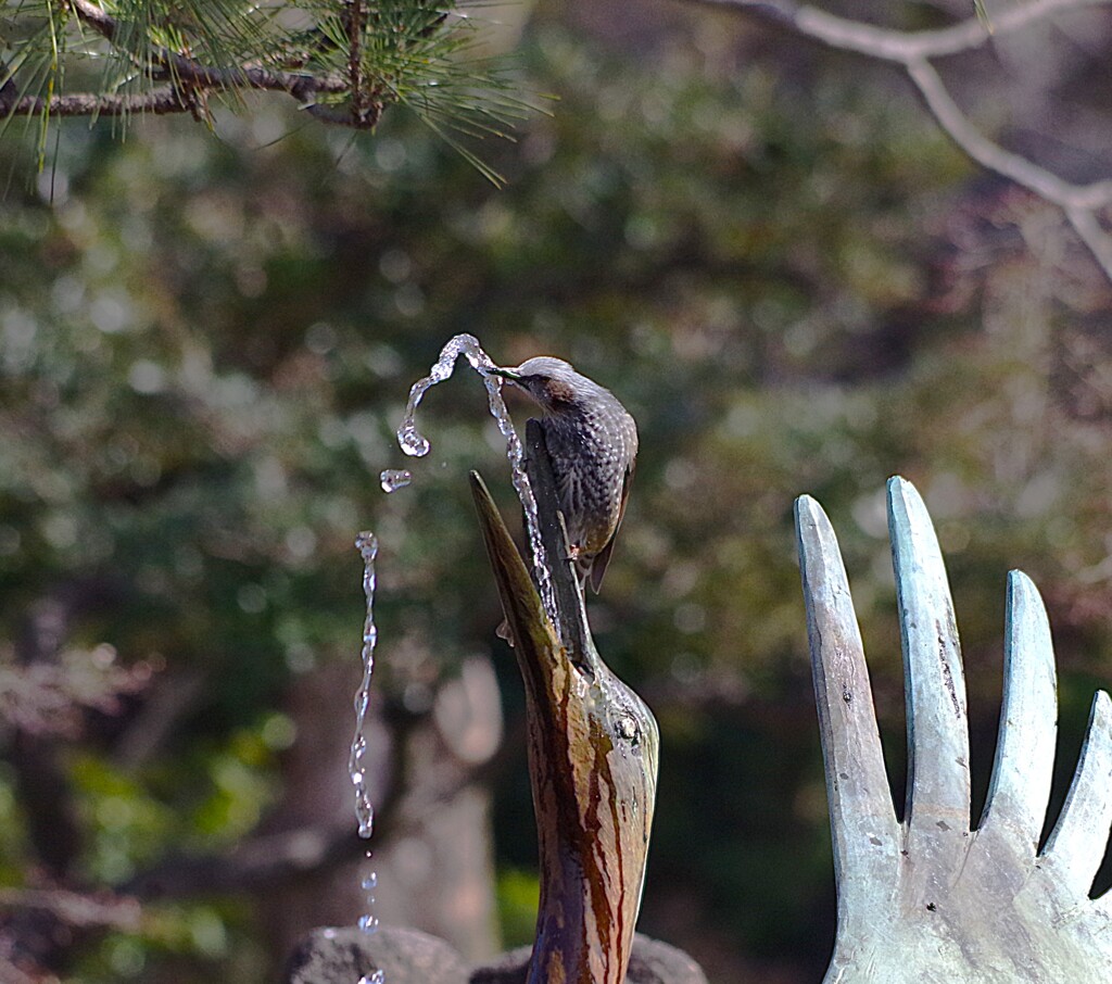 水を飲む