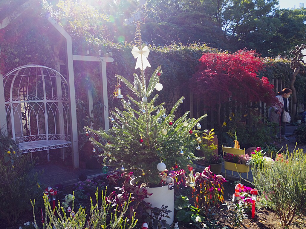 庭園のきらめき