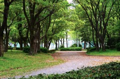 公園