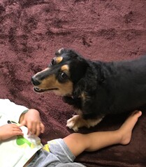 在りし日のミッキー