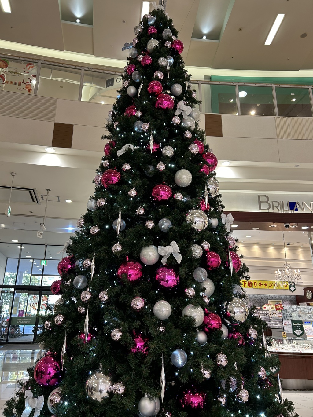 クリスマスツリー