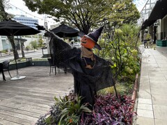 ハロウィン