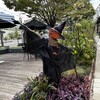 ハロウィン