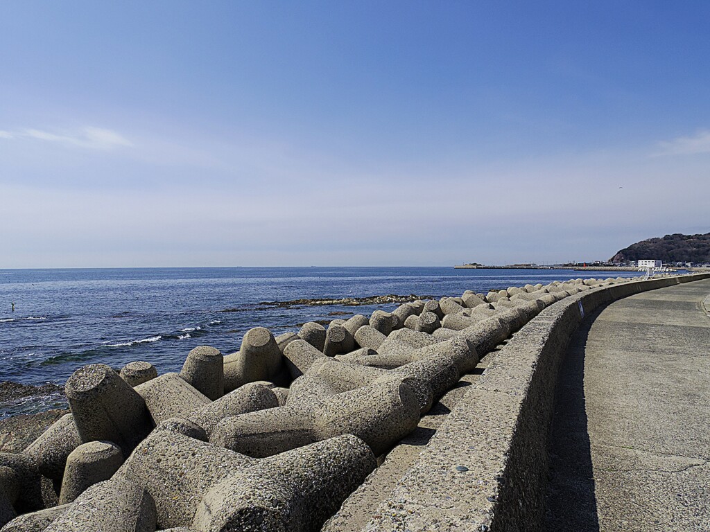 知多半島
