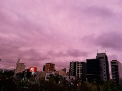 晴れてきました