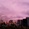 晴れてきました