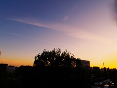 今日の夕空