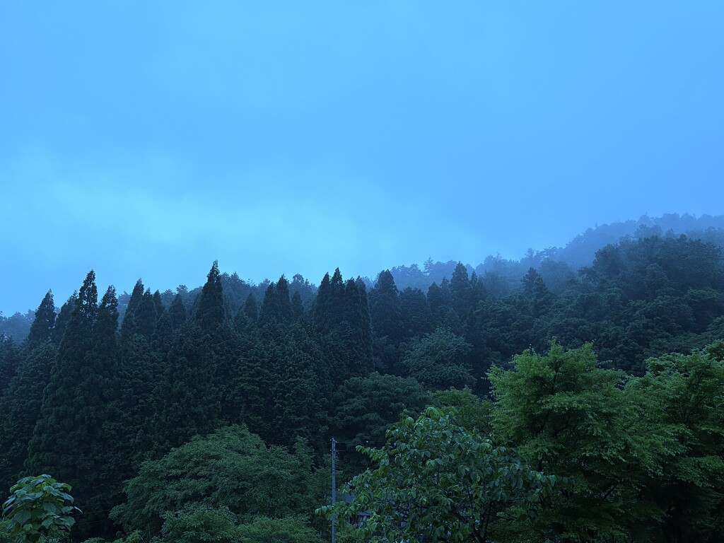 雨上がり
