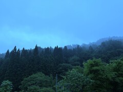 雨上がり