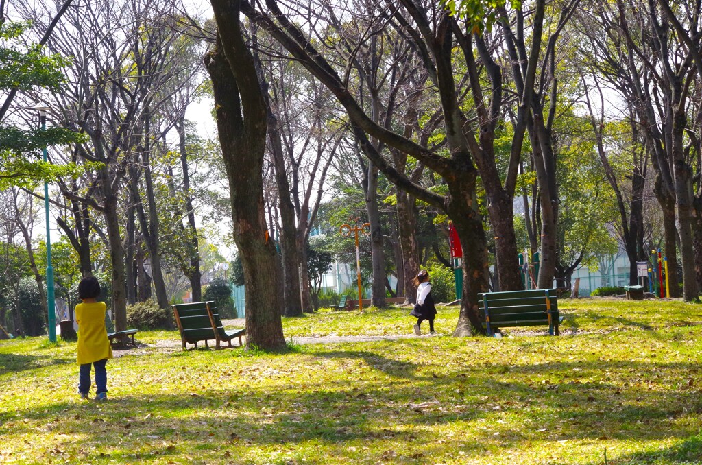 公園