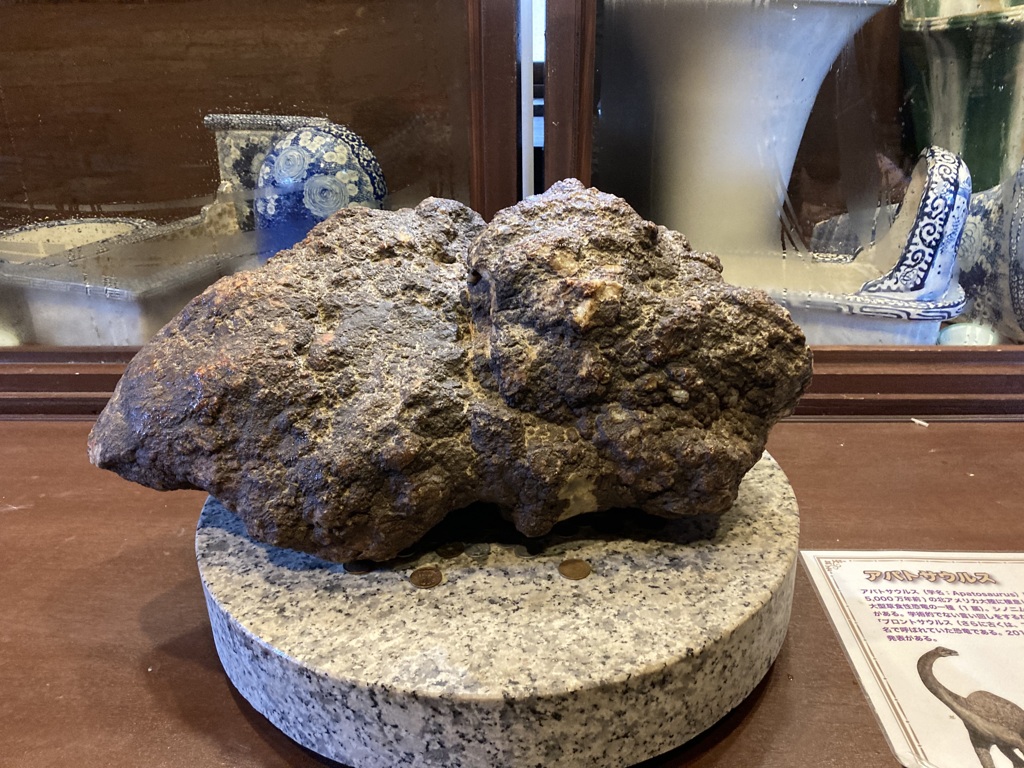 うんちの化石