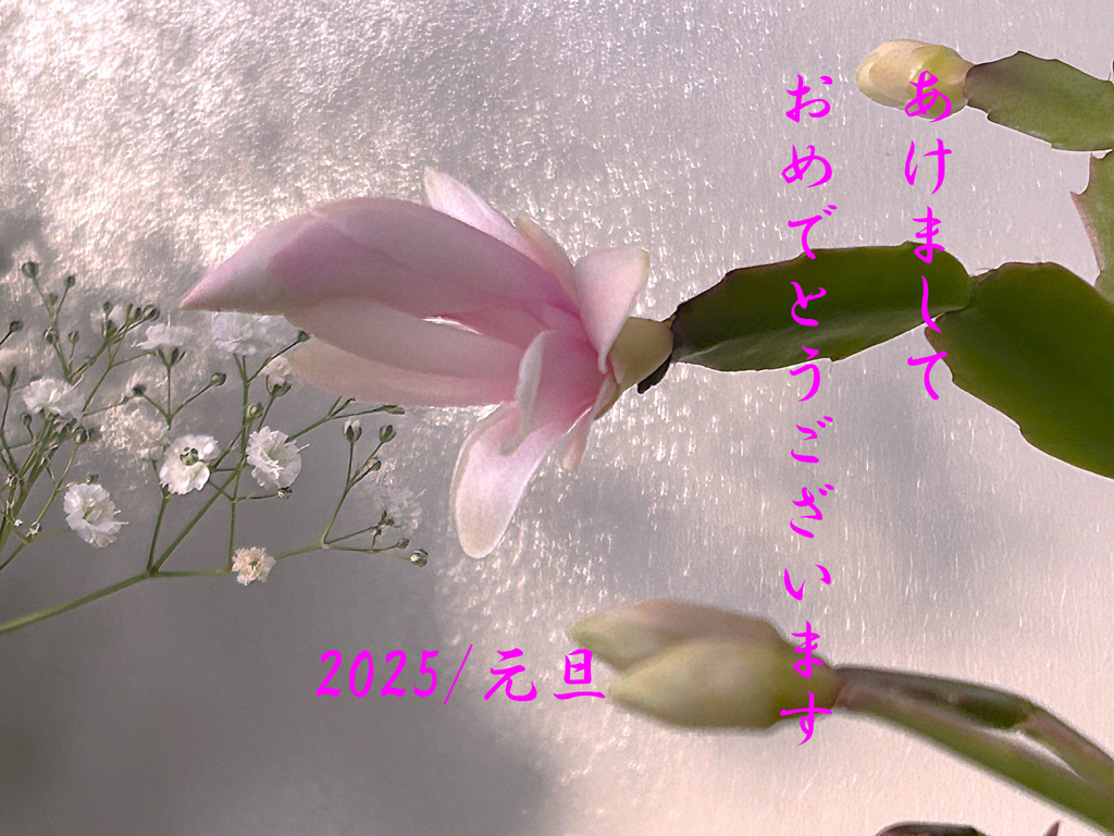 元旦